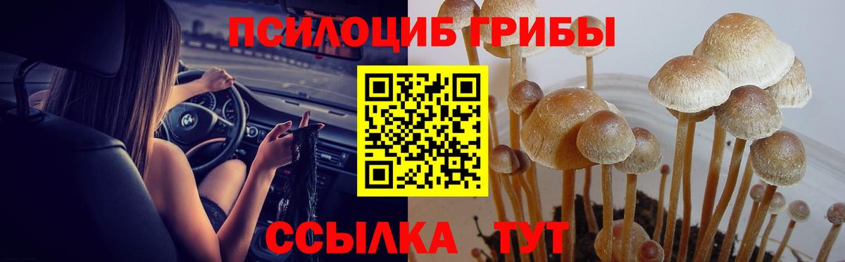 даркнет сайт  Галлюциногенные грибы GOLDEN TEACHER  Вход с VPN  Энгельс 